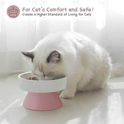 フードボウル たっぷりボウル 犬 猫