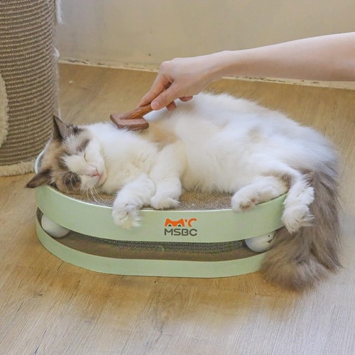 爪とぎ 無限大ボウル 猫 段ボール