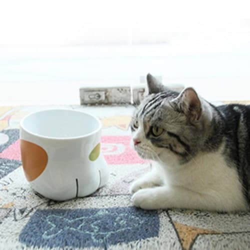 フードボウル 肉球フードボウル 犬 猫 高さがある