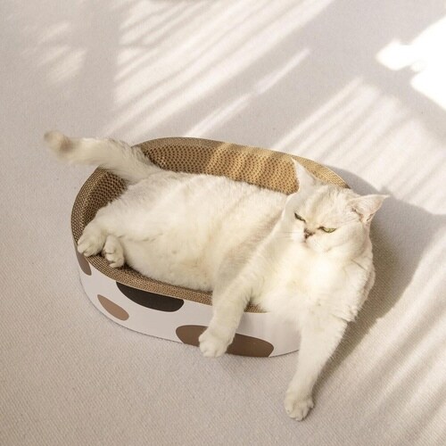 爪とぎ 楕円ボウル 三毛 猫 段ボール
