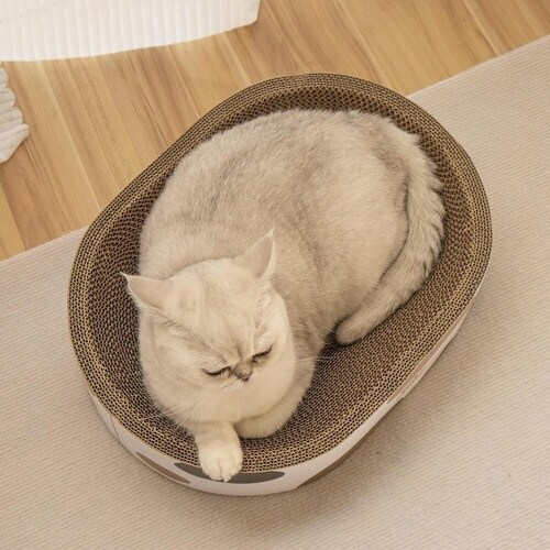 爪とぎ 楕円ボウル 三毛 猫 段ボール