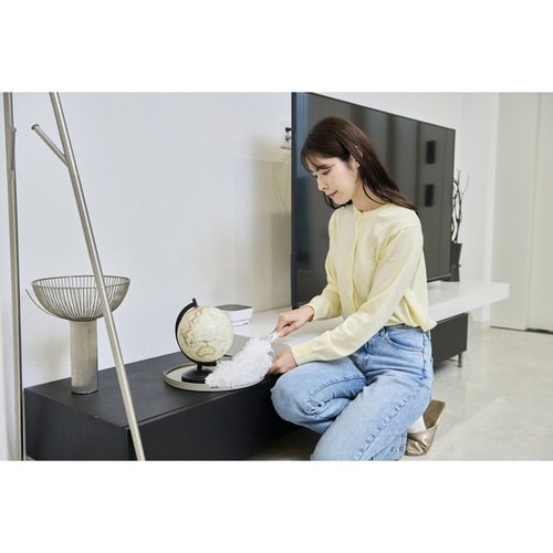 【めざましテレビで紹介】ハンディモップ