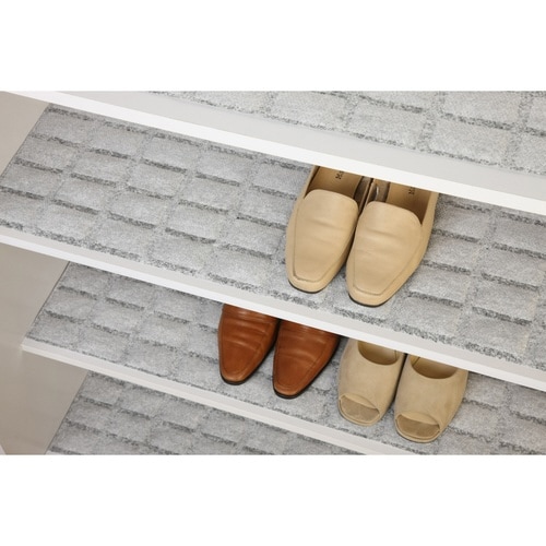 除湿剤 強力消臭&除湿シート 下駄箱用 2枚入