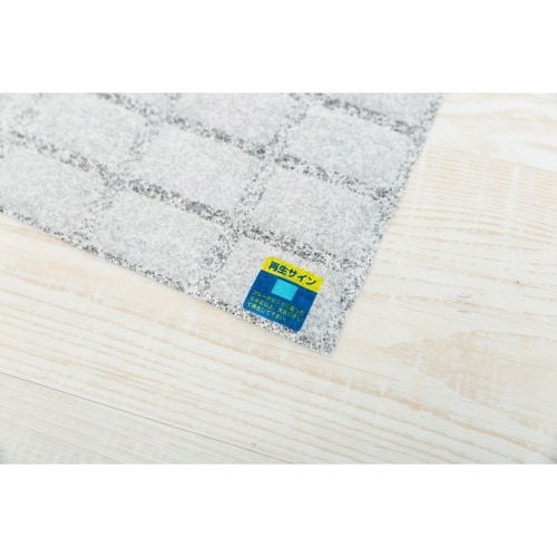 除湿剤 強力消臭&除湿シート 下駄箱用 2枚入