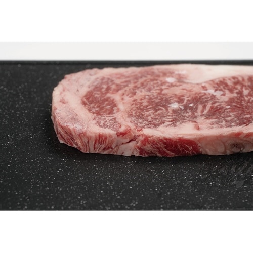 解凍皿 解凍ディッシュプレート 日本製