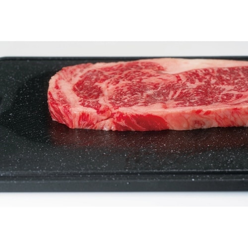 解凍皿 解凍ディッシュプレート 日本製