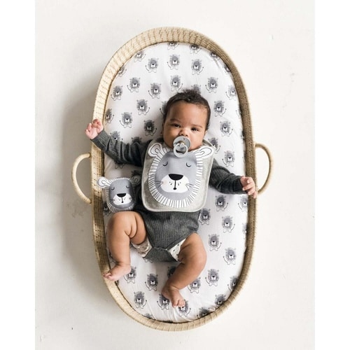 スタイ Mister Fly ライオン