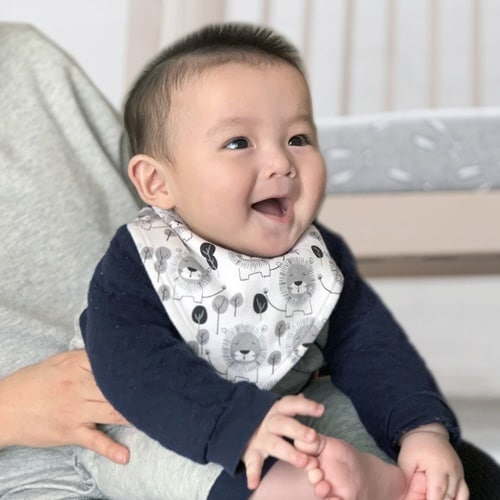 よだれかけ Mister Fly ライオン