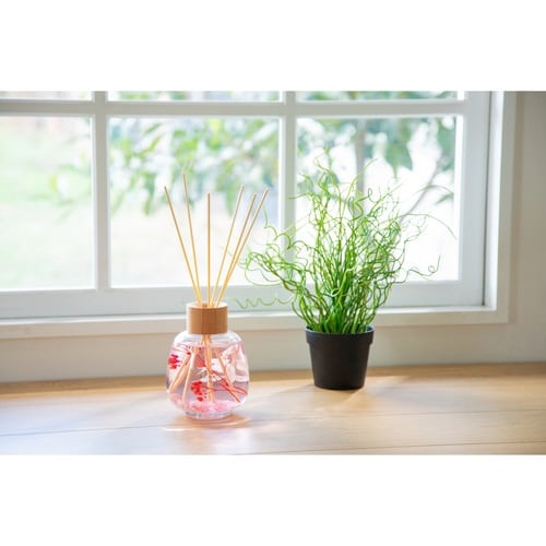 リードディフューザー B−nature サボン