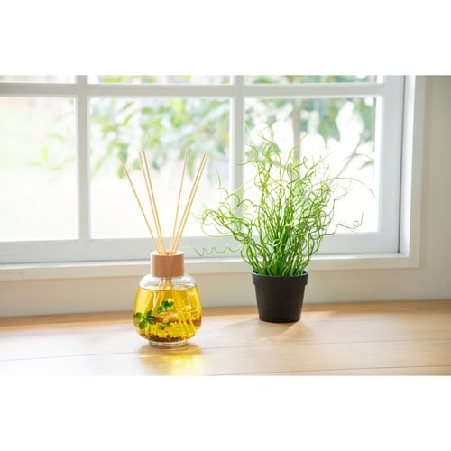 リードディフューザー B−nature ジンジャー