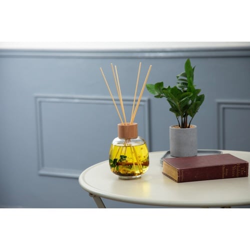 リードディフューザー B−nature ジンジャー