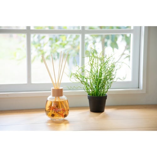 リードディフューザー B−nature ザクロ