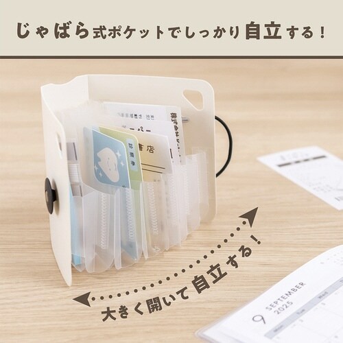 かたづくファイル/A5/ホワイト×2