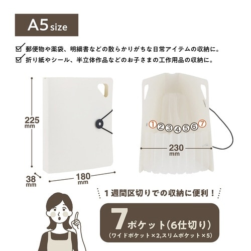 かたづくファイル/A5/ホワイト×2