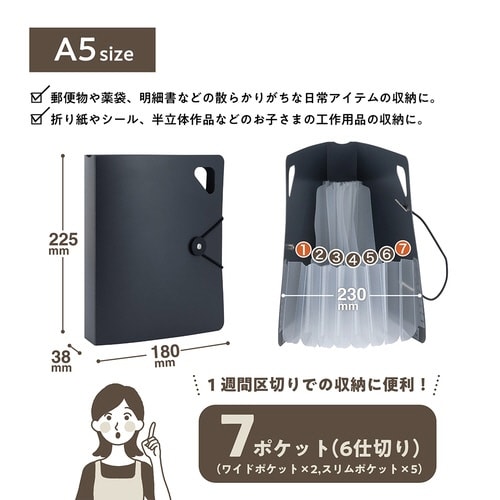 かたづくファイル/A5/ブラック×2