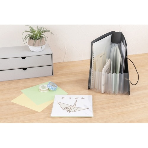 かたづくファイル/A5/ブラック×2