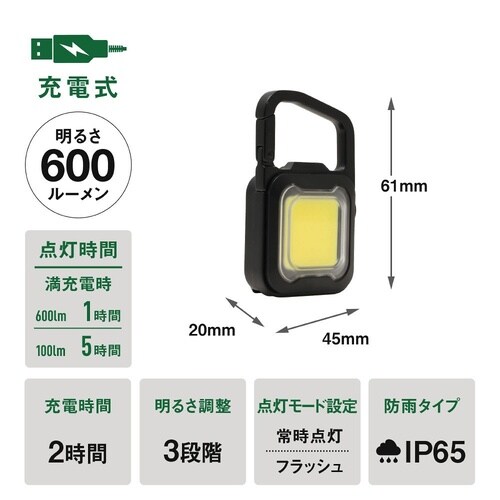 充電式 ぴかり MINI LIGHT マ