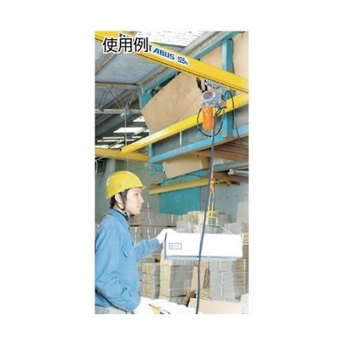 ベータ型小型電気チェンブロック 定格荷重