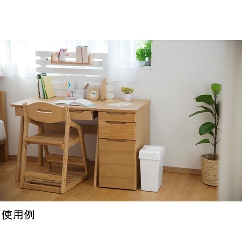 ゴミ箱 10L セパ ダストプッシュ