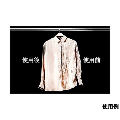 800W ハンディーアイロン(スチーマー