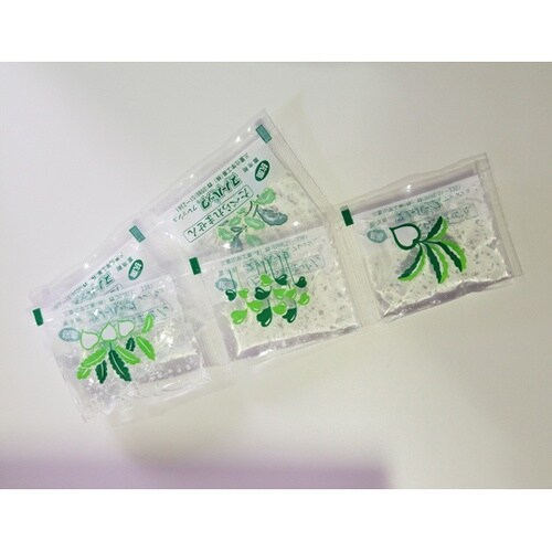 スノーパック フレッシュ (抗菌) 10