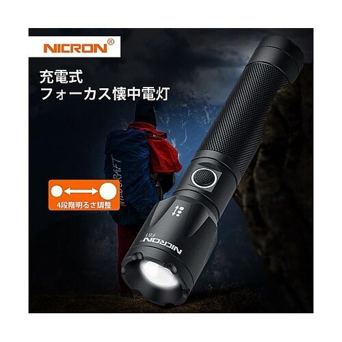 F81 フォーカスハンディLEDライト