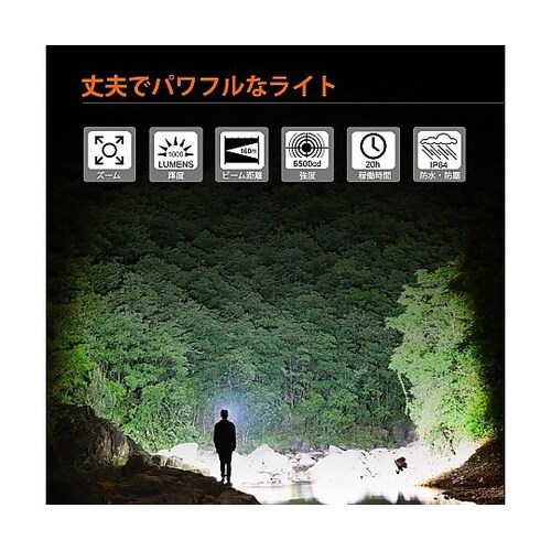 F81 フォーカスハンディLEDライト