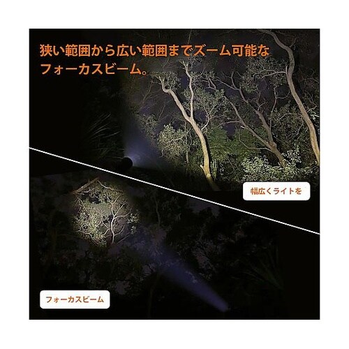 F81 フォーカスハンディLEDライト