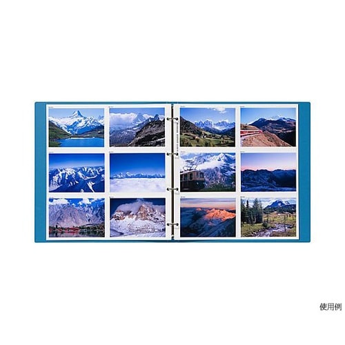 レポートアルバム 替台紙 L ARP−S