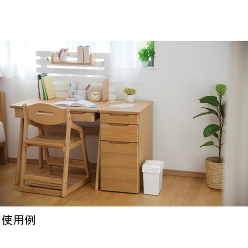 ゴミ箱 5L セパ ダストプッシュ