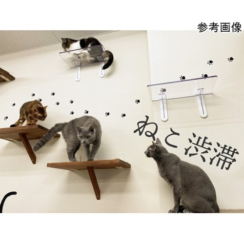 キャットステップ3枚セット PC4022