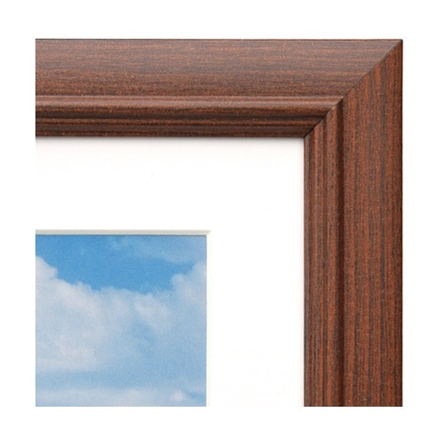 モクセイガク ブラウン A4 FW−4−