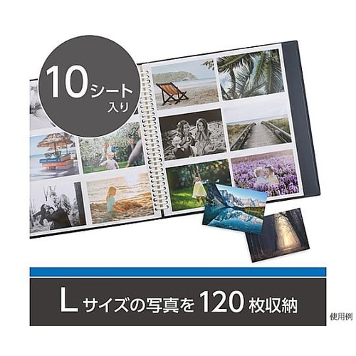 フォトシステムFL プリントファイル L