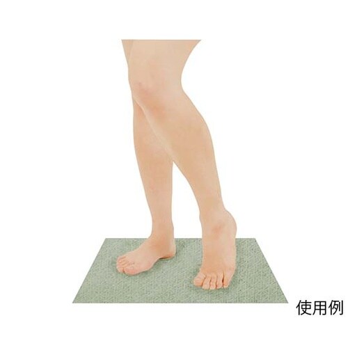 使い捨てできるバスマット 1ケース(10