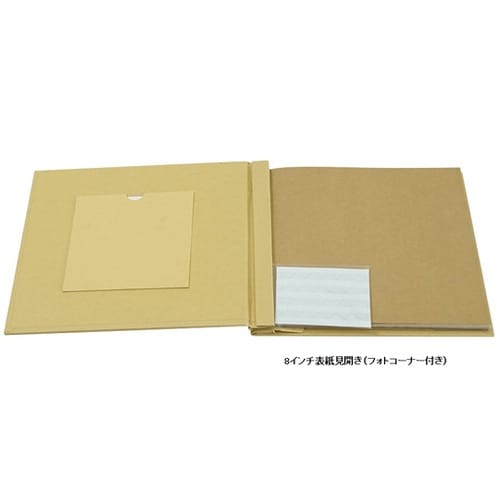 KAZARU アルバム 8 インチ KA