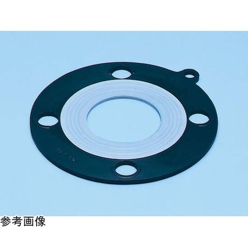 エビロンRガスケット JIS10K×80