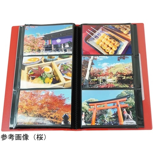 N360 フォトアルバム 和みシリーズ