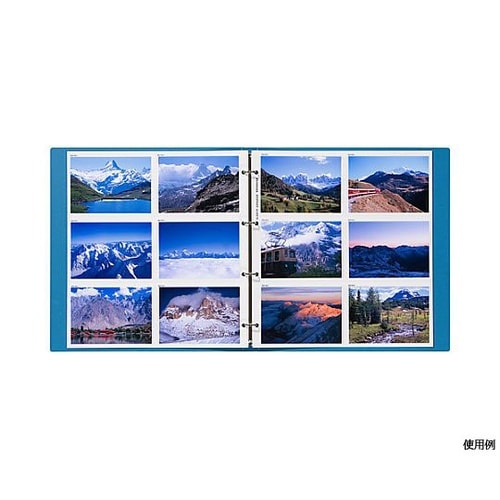 レポートアルバム L ブルー ARP−L