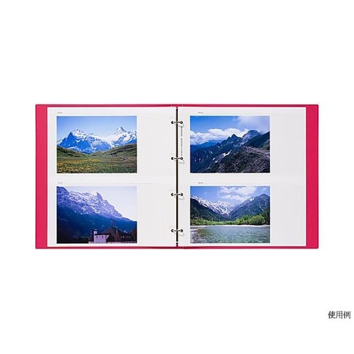 レポートアルバム 替台紙 2L ARP−