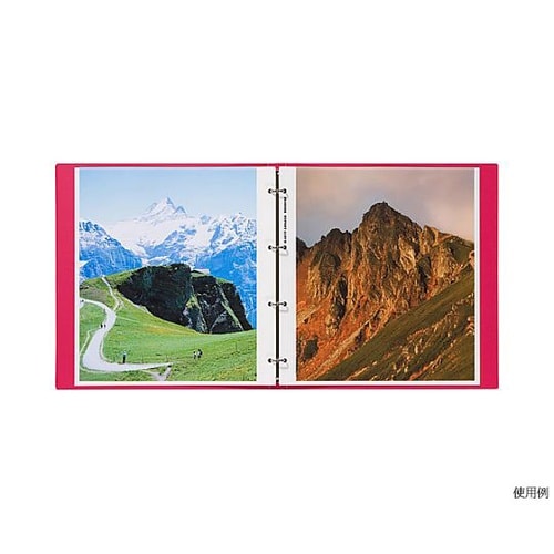 レポートアルバム 替台紙 4切 ARP−