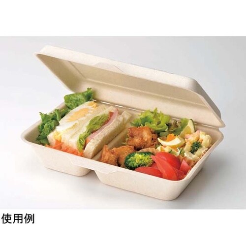 フードパック 使い捨て 仕切り付 Mサイ