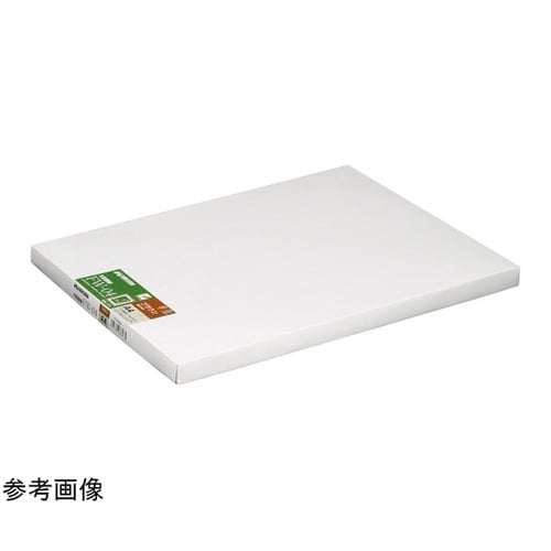 モクセイガク ブラウン W4 FW−4−