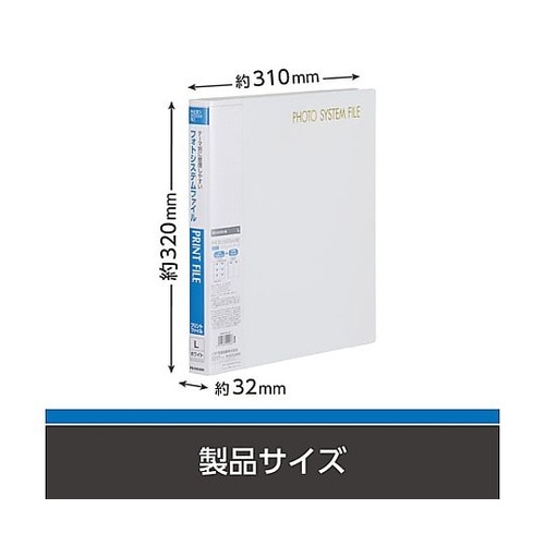 フォトシステムFL プリントファイル L
