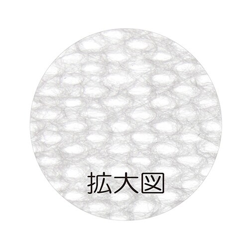 超大判 大人用からだふき 1ケース(15