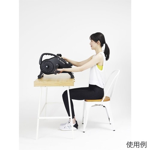 エアロマグネティックミニバイク AFB2