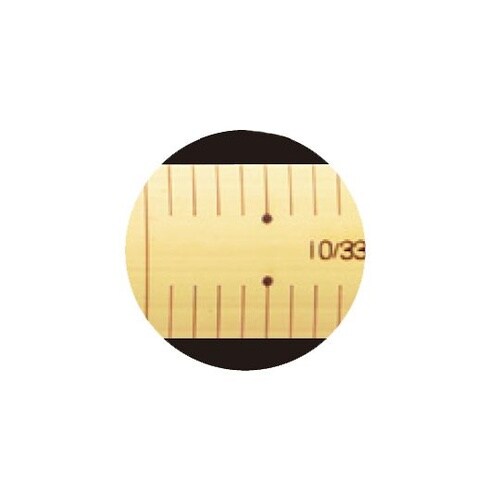 269−01 竹ザシ 30cm