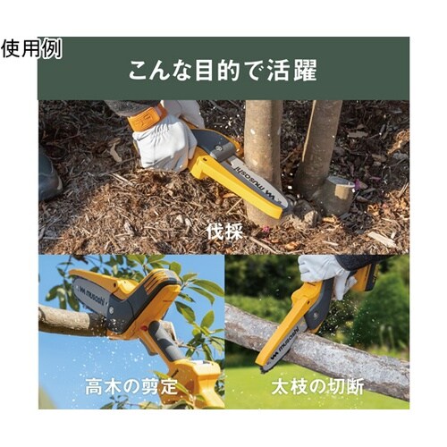 充電式ハンディ&ポールチェーンソー PC