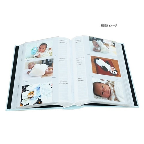 メガアルバム600 メゾンシリーズN チ