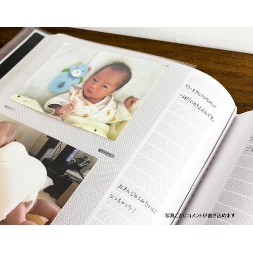 メガアルバム600 メゾンシリーズN チ