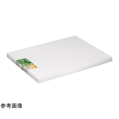 モクセイガク ナチュラル 6ツ FW−4